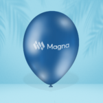 Standaard ballonnen (30cm)