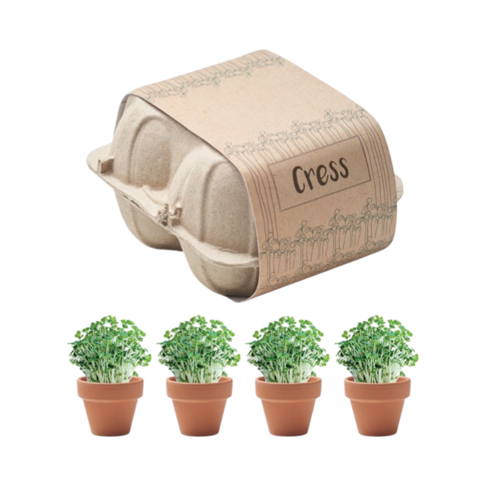 Eierdoos kweekset voor tuinkers