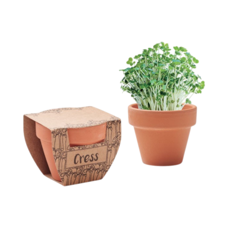 Terracotta pot met tuinkerszaadjes