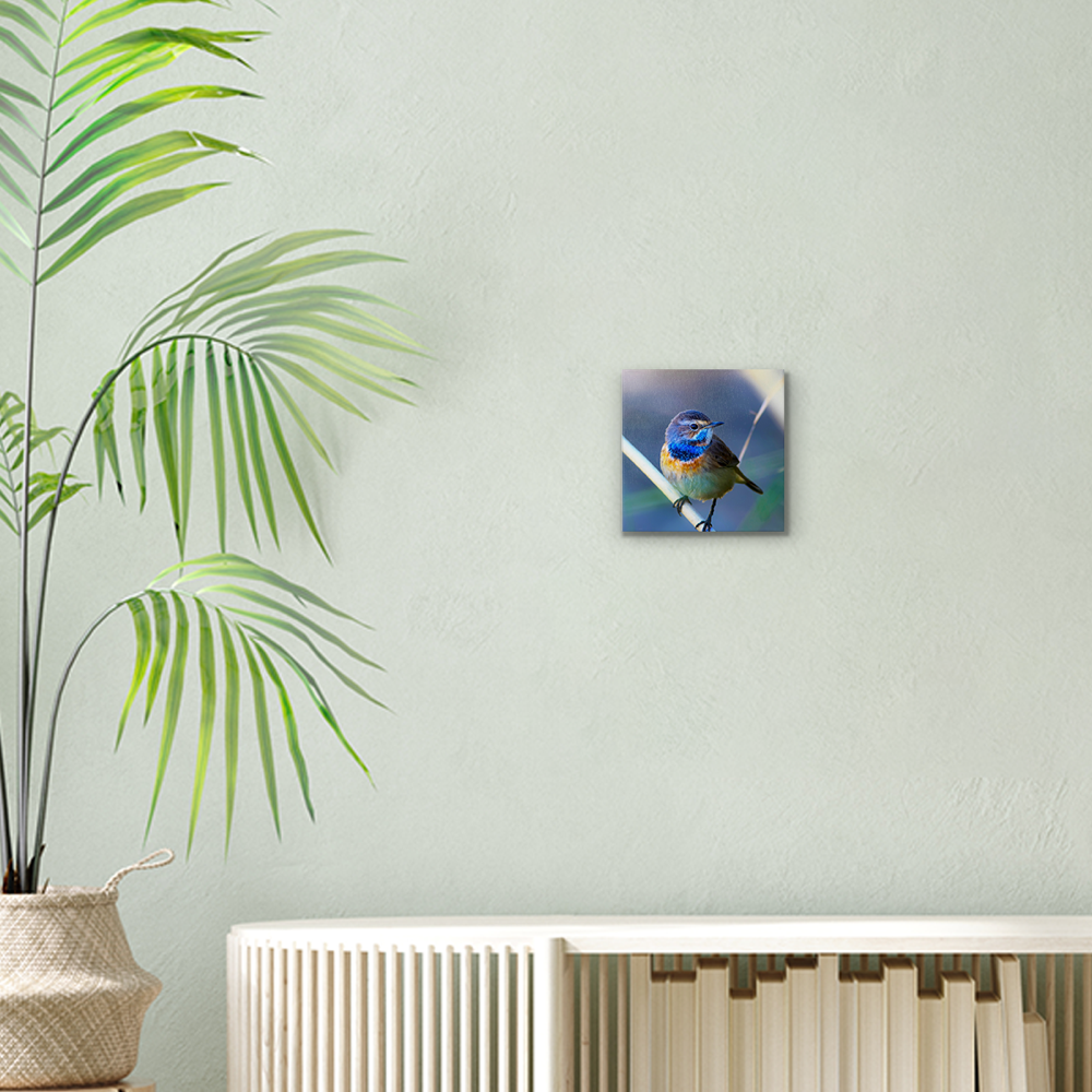 Foto op canvas